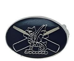 Badge - Cricket